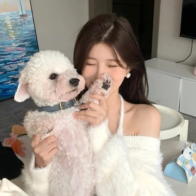 南波万的聚会第二季
